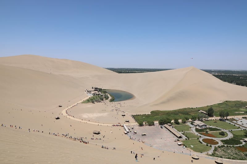 Rooftop Oasis Concepts